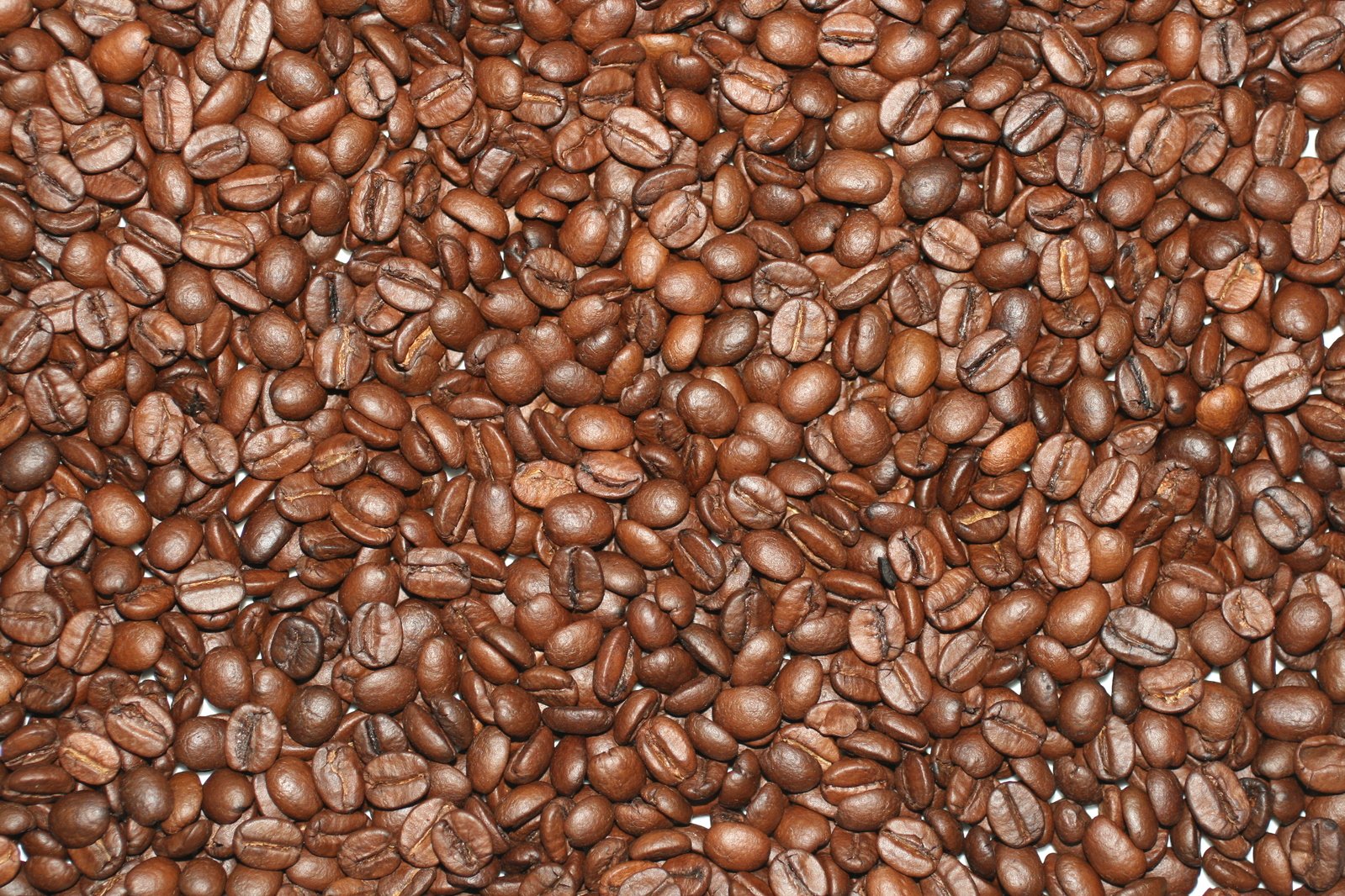 Starbucks Sets Aggressive Sustainability Targets