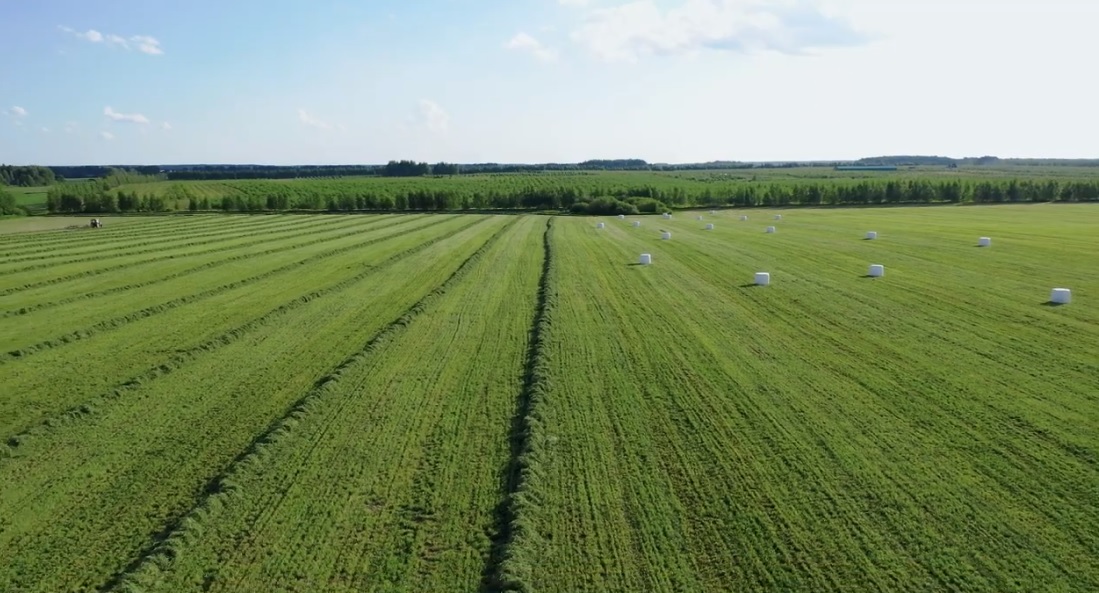 GRI Unveils Sustainability Reporting Standard for Agriculture, Fishing Sectors