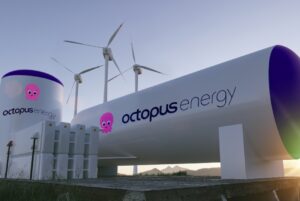 Octopus Energy Raises $800 Million to Accelerate Clean Energy Buildout